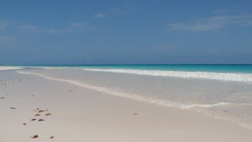 ������: �����  Pink Sands