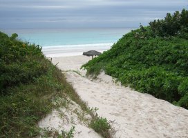 ������: �����  Pink Sands
