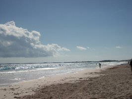 ������: �����  Pink Sands